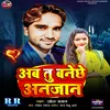 Ab Ka Banelu Anjan (Maithili sad song)