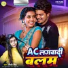 About Ac Lagwa Di Balam Ji (Bhojpuri) Song