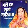 About Meri Tear Suno Ghanshyam Song