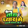 About Tora Pyar Me Pagali Pagal Chhau Re Song