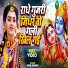 About Radhe Gujari Jidhar Wo Gali Khil Gai (Krishna Bhajan) Song