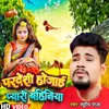 About Pardeshi Ho Jai Pyari Bahiniya (Bhojpuri) Song