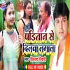 About Panditan Se Dilwa Lagal (Bhojpuri) Song