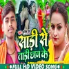 About Sadi Se Taadi Chhan Ke Song