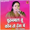 About Puranmal Tu Kaun Se Dhang Mein Song