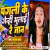 About Pagli Ke Genhi Bhulai Re Jaan Song