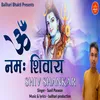 About Om Namah Shivay Shiv Shankar Song