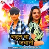 About Chadhal Ba Jawani Song