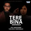 About Tere Bina Song