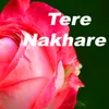 About Tere Nakhare Song