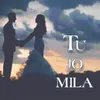 About Tu jo Mila Song