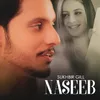About Naseeb Song