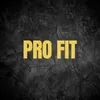 About Pro Fit Song
