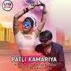 About Patli Kamariya Song