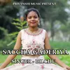 Saccha Gaderiya ( Devotional Song )