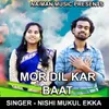 About Mor Dil Kar Baat ( Devotional Song ) Song