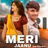 About Meri Jaanu Song