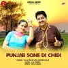 About Punjab Sone Di Chidi Song