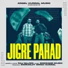 About Jigre Pahad Song