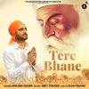 Tere Bhane