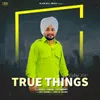 About True Things Song