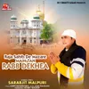 About Raja Sahib De Mazare Main Tan Rabb Dekhea Song