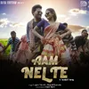 About Aam Nelte Song
