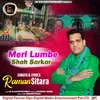 About Meri Lumbe Shah Sarkar Song