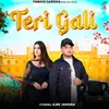 About Teri Gali Song