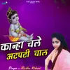 About Kanha Chale Atpati Chal Song