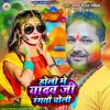 About Holi Me Yadav Ji Rangto Choli Song