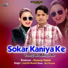 About Sokar Kaniya Ke Todegi Ka Bhojai Re Song