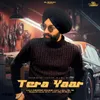 About Tera Yaar Song