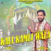 About Kali Kamli Wala Song