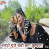 About Baando Punche Baani Baag Kunka Song