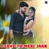 About I Love You Meri Jaan Song