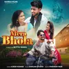 About Mera Bhola Song