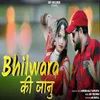 About Bhilwara Ki Jaanu Song