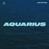 About Aquarius Song