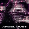 About Angel Dust Song