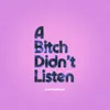 About A Bitch Didn't Listen Song