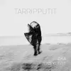 About Tarripputit Song