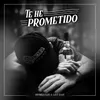 About Te He Prometido (Homenaje a Leo Dan) Song