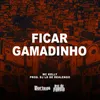 About Ficar Gamadinho Song