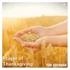 About Prayer of Thanksgiving Song