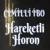About Hareketli Horon Song