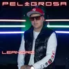 About Peligrosa Song