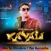 About Mix Te Olvidare / Por Borracho Song