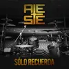 About Solo Recuerda Song