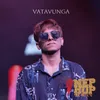 About Vatavunga Song